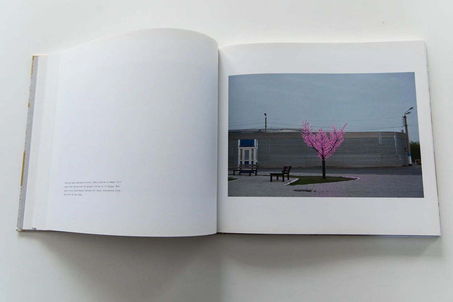 PROMISING WATERS - Image 7