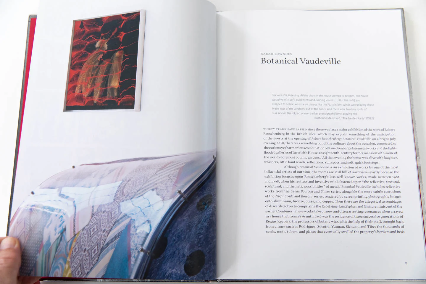 RAUSCHENBERG | Botanical Vaudeville - Image 4