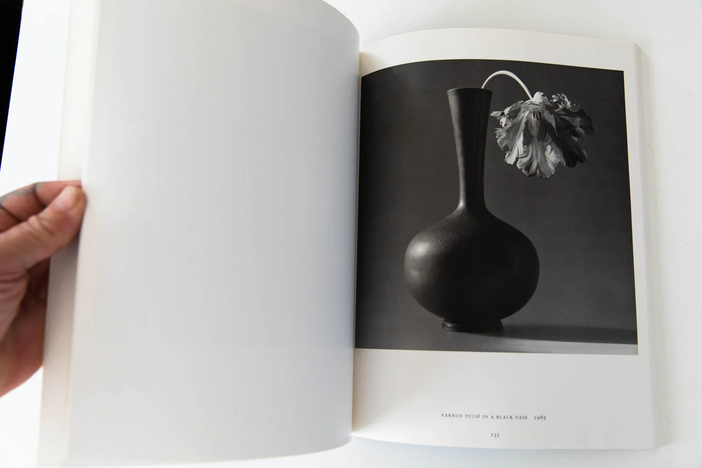 ROBERT MAPPLETHORPE - Image 6