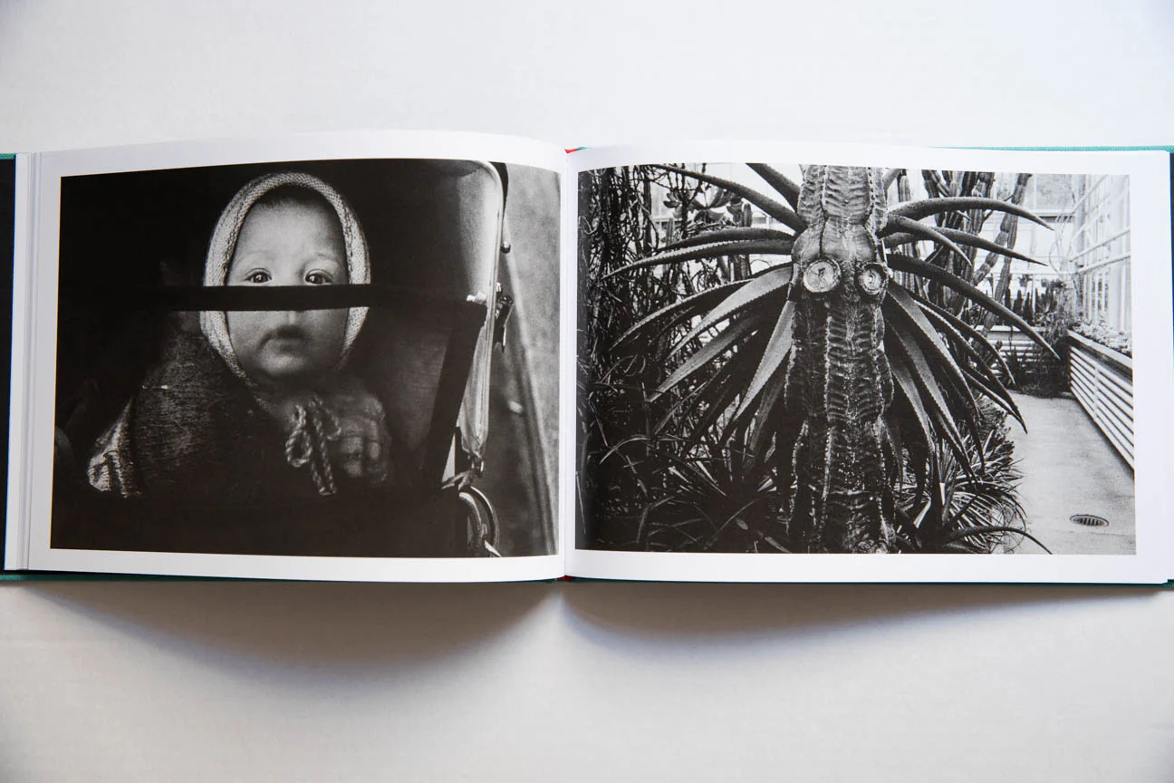SAGACITY - Image 5