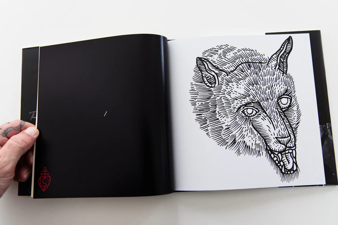 SQUARE FLASH 2013-2015 - Image 2