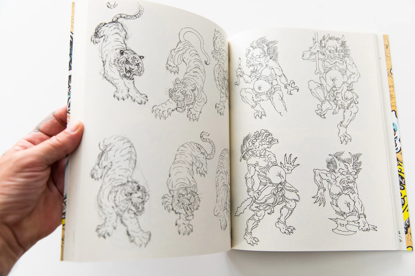 STUDY - Image 3
