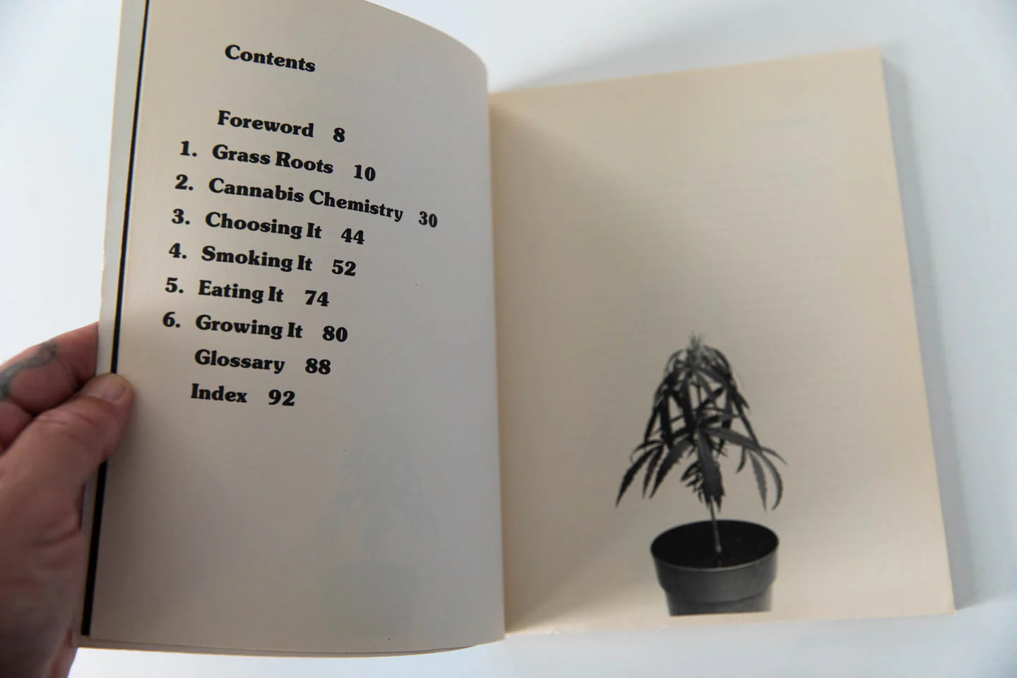 THE BOOK OF POT - Image 2