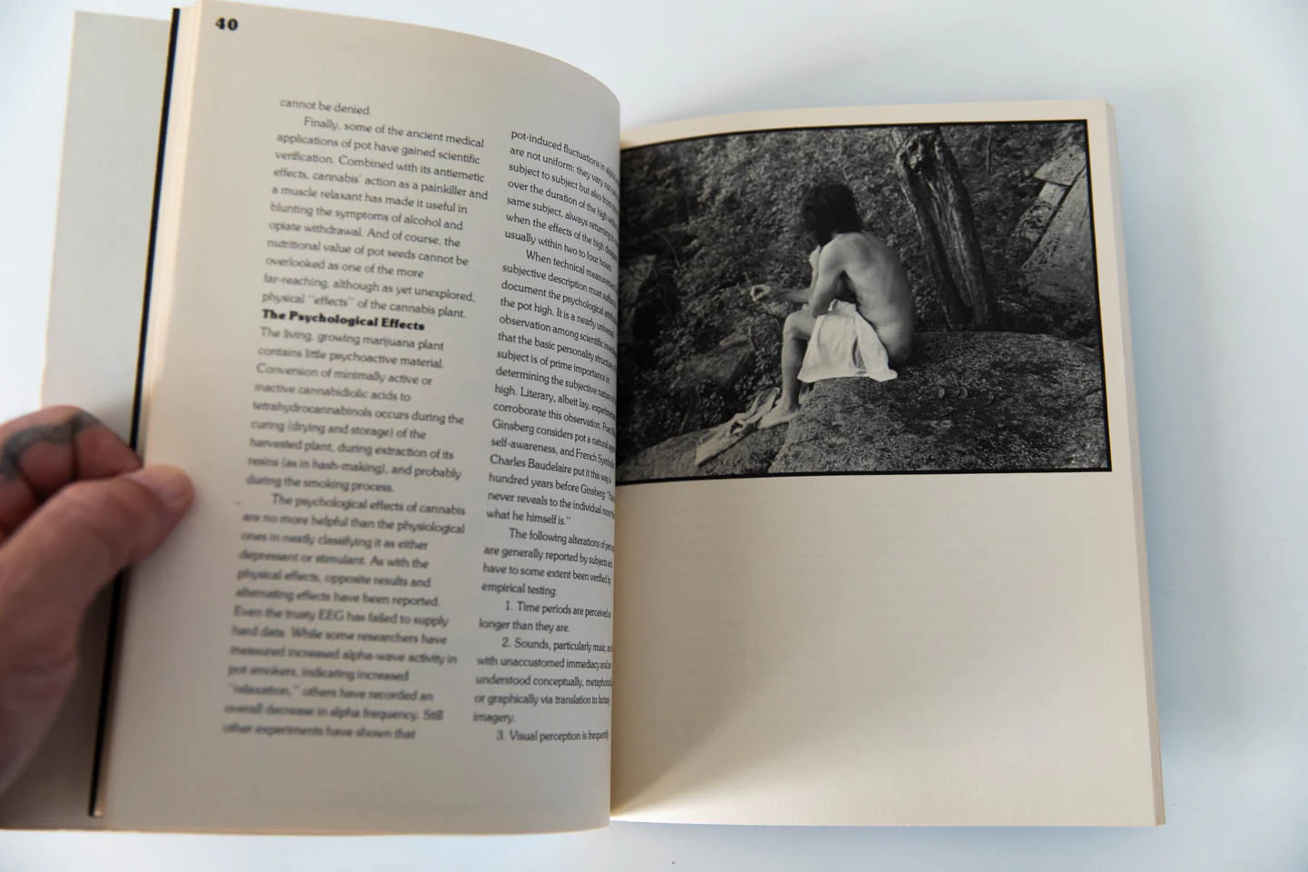 THE BOOK OF POT - Image 8
