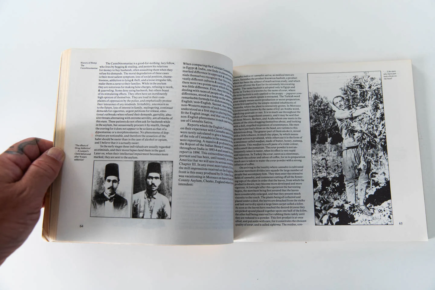 THE CONNOISSEUR'S HANDBOOK OF MARIJUANA - Image 3