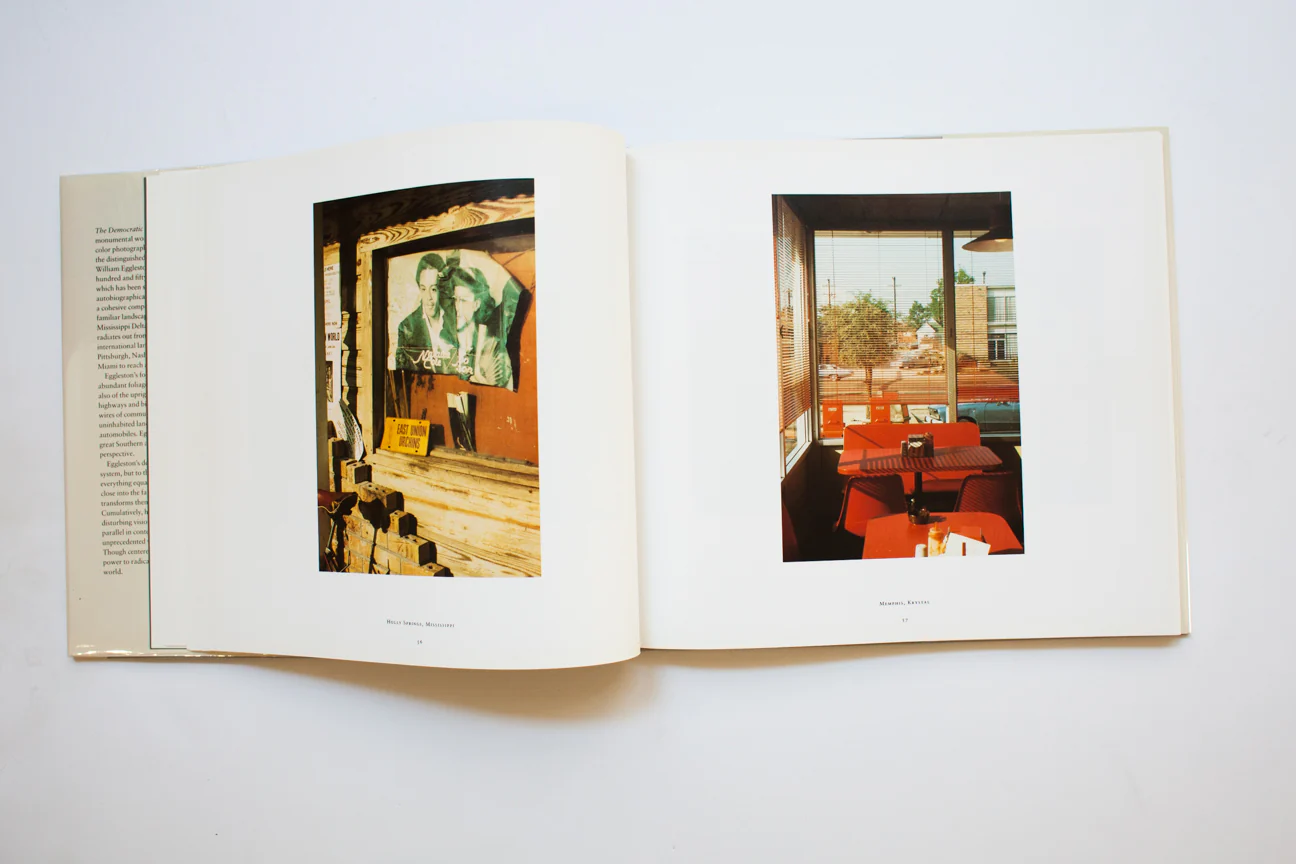 THE DEMOCRATIC FOREST - Image 4