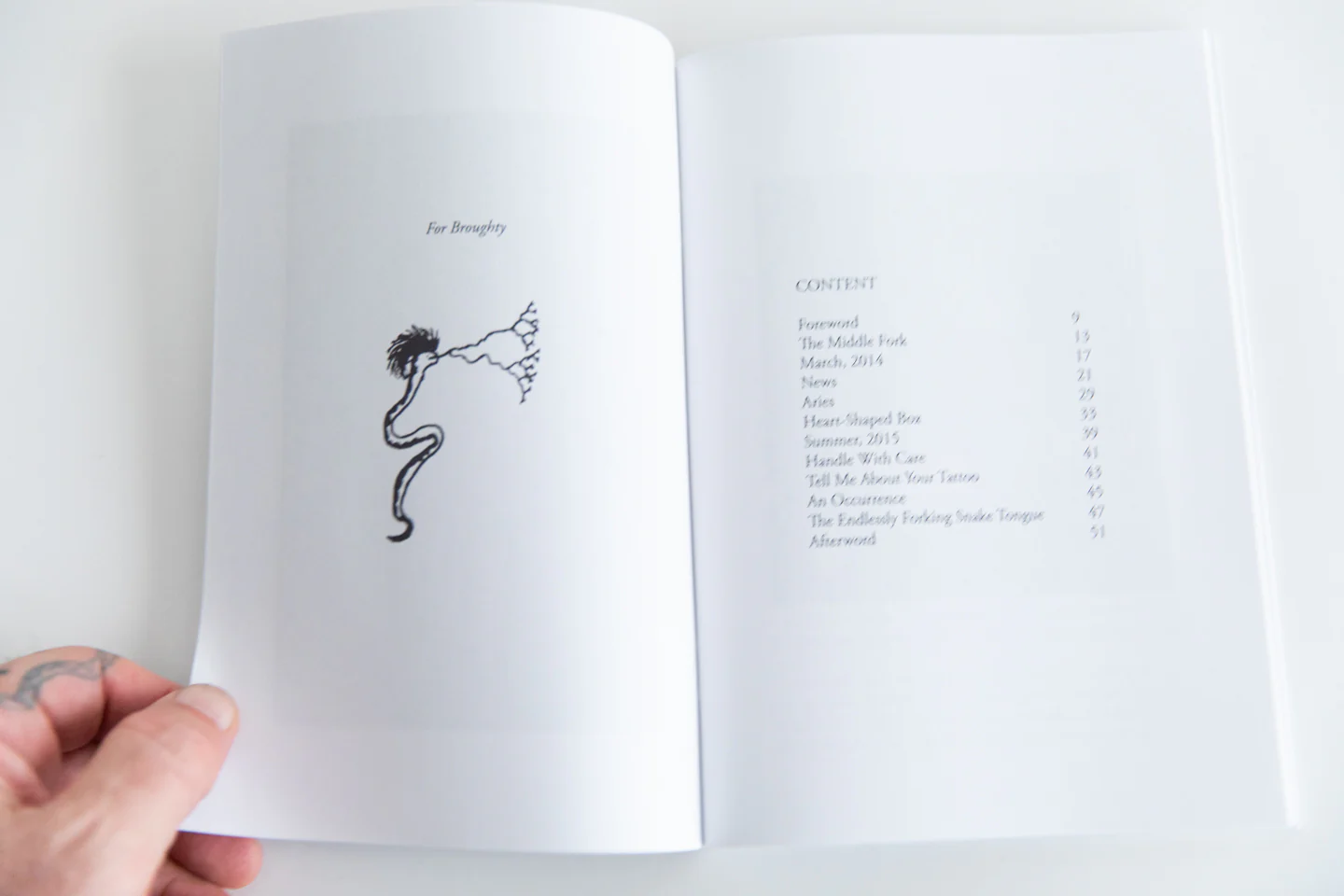 THE ENDLESSLY FORKING SNAKE TONGUE - Image 3