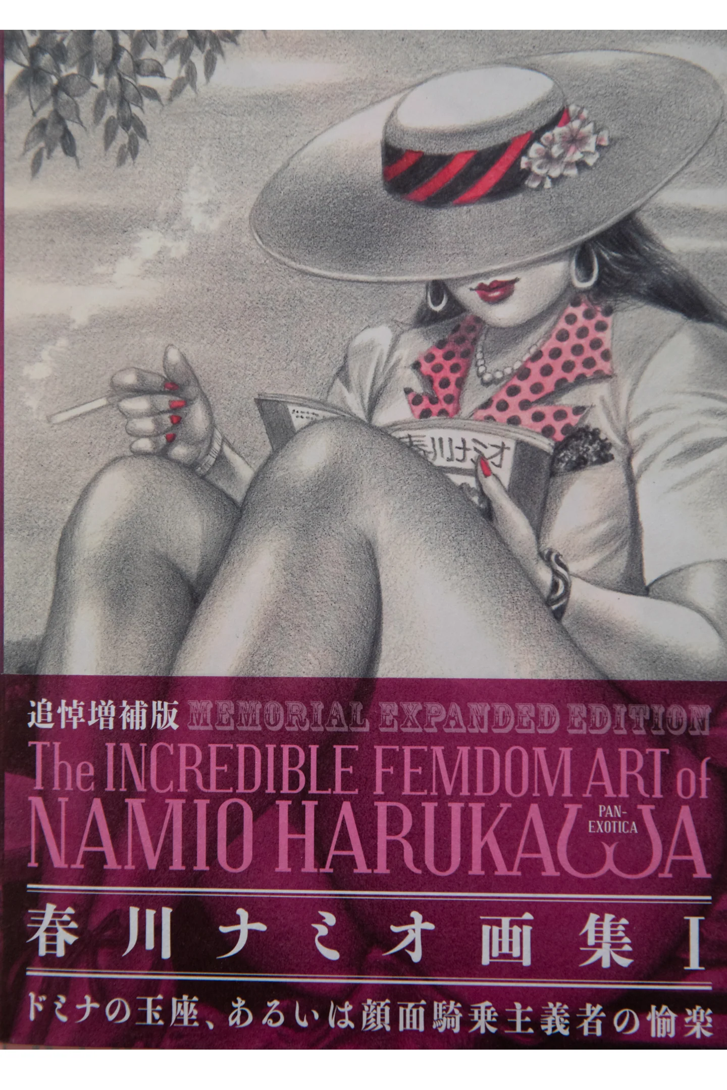 THE INCREDIBLE FEMDOM ART OF NAMIO HARUKAWA | Memorial Expanded Edition
