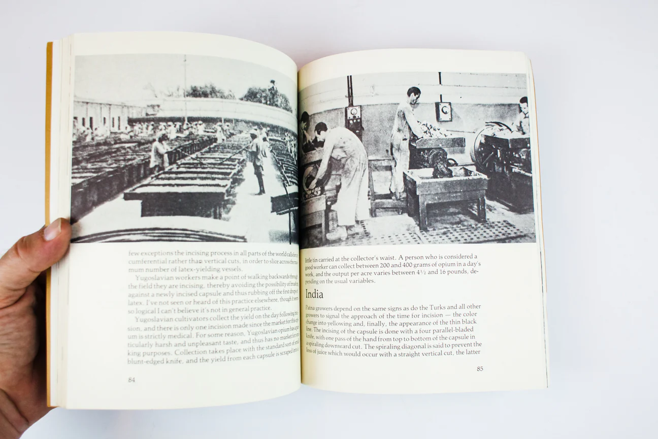 THE INTERNATIONAL CULTIVATORS HANDBOOK - Image 7