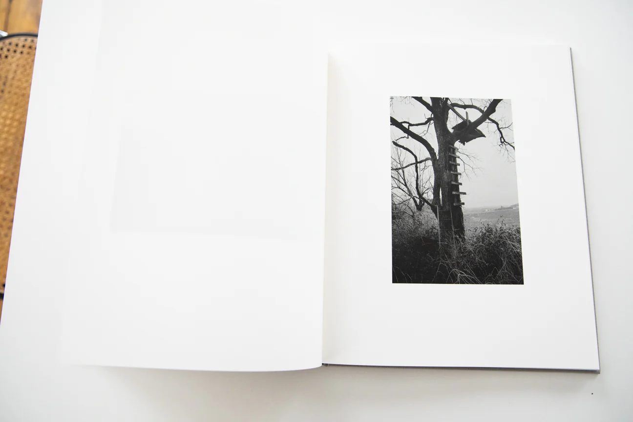 THE LOCUSTS - Image 4