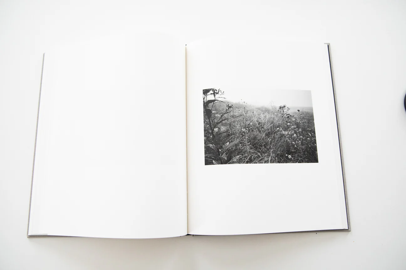 THE LOCUSTS - Image 6