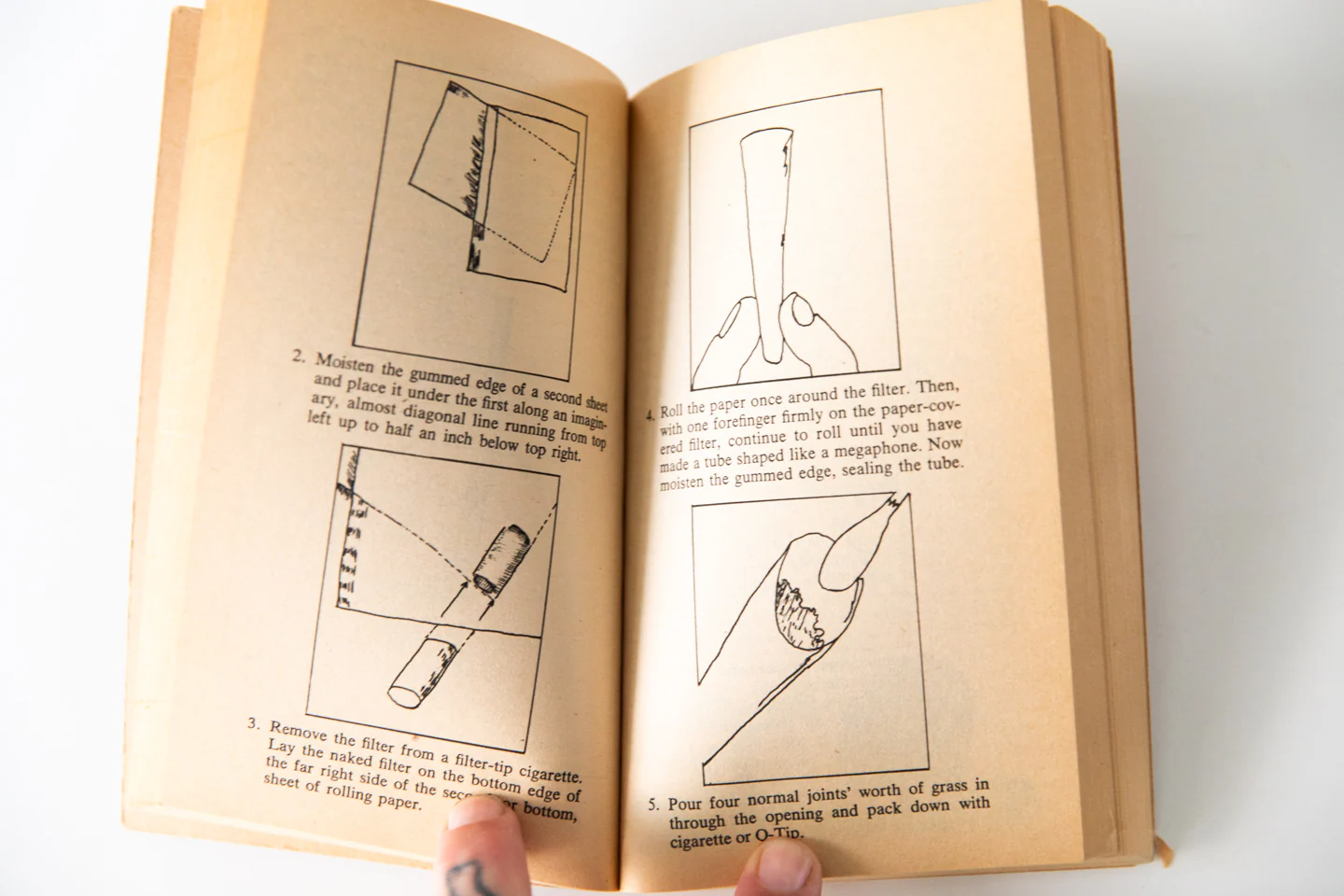 THE MARIJUANA CATALOGUE | A Comprehensive Guide To Grass - Image 5