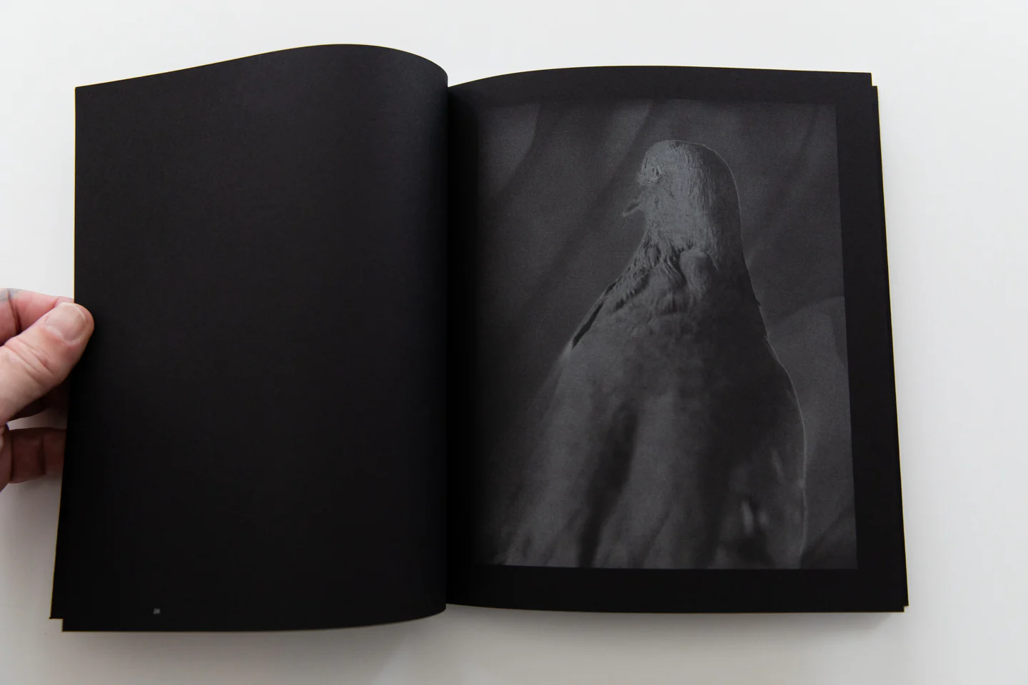 THE MIMETIC OBSERVER | A Visual Reading on Dante’s Divine Comedy - Image 3