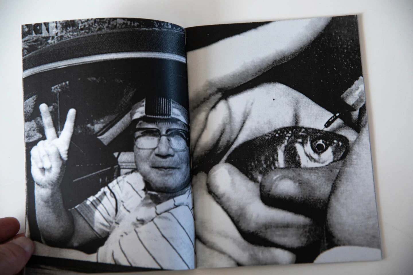 THE ORIGINS OF THE MAGIC LANTERN - Image 4