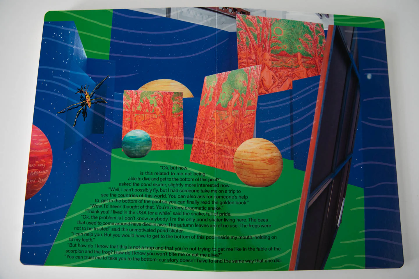 THE POND SKATER - Image 7