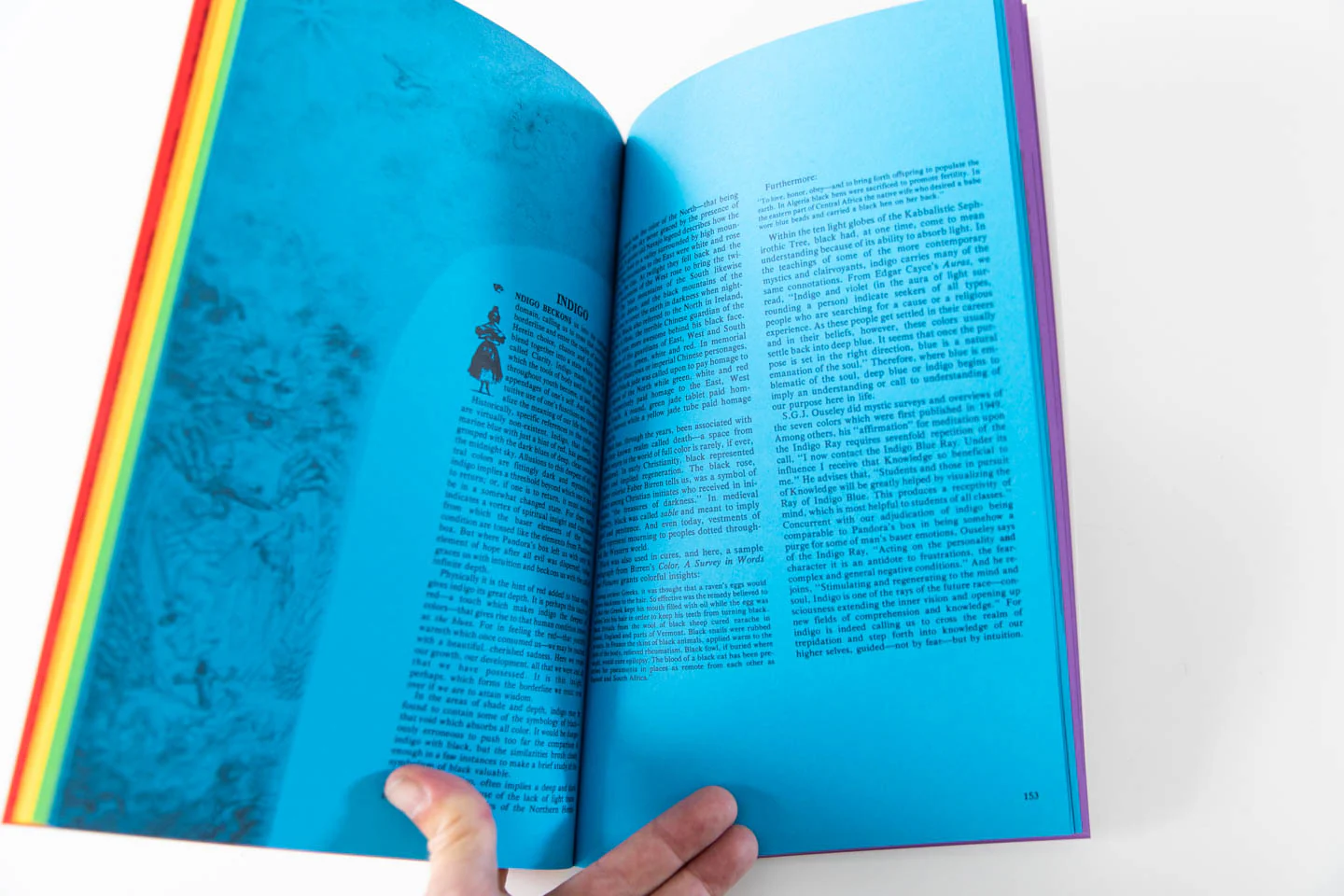 THE RAINBOW BOOK - Image 7
