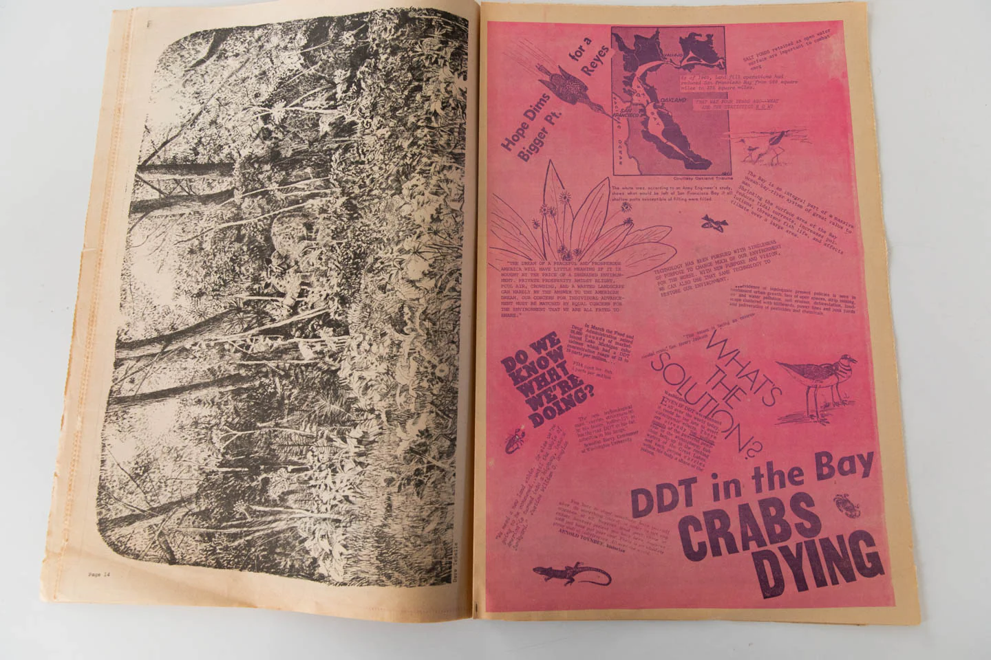 THE SAN FRANCISCO ORACLE Vol. 1 No. 4 - Image 5