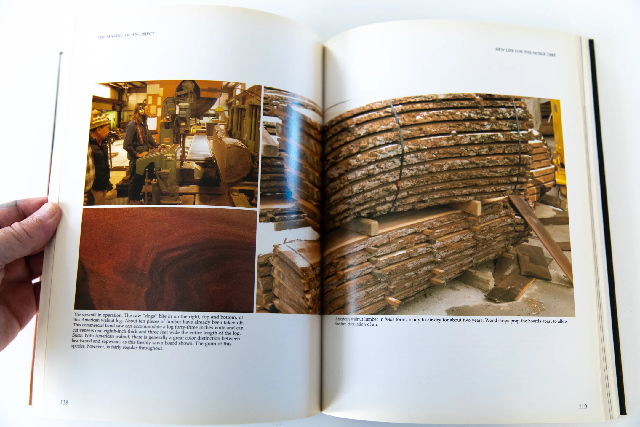 THE SOUL OF A TREE | A Woodworker's Reflections - Image 5