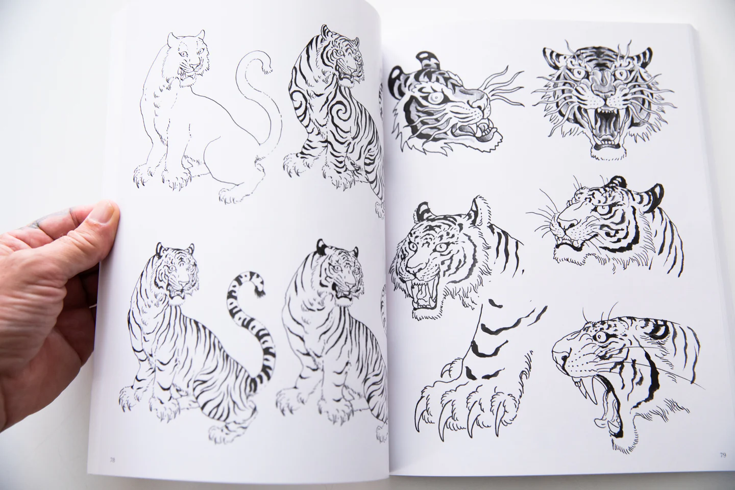 THE TIGER | Designs and Variations for Tattooing - Image 5