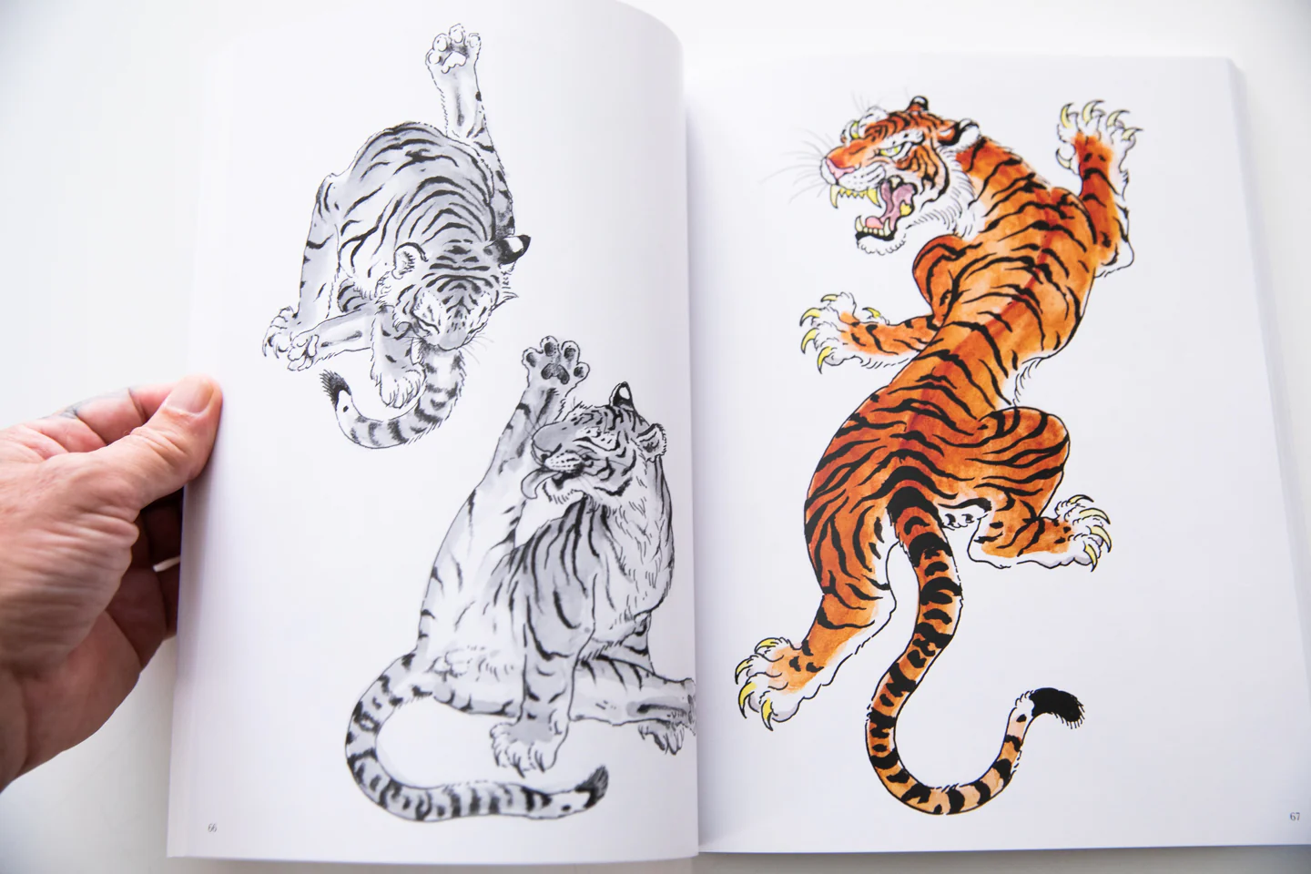 THE TIGER | Designs and Variations for Tattooing - Image 8