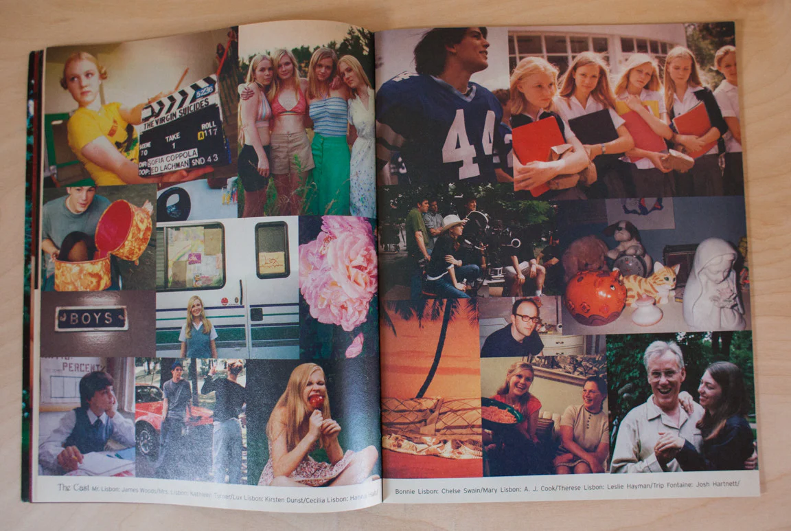 The Virgin Suicides - Image 4