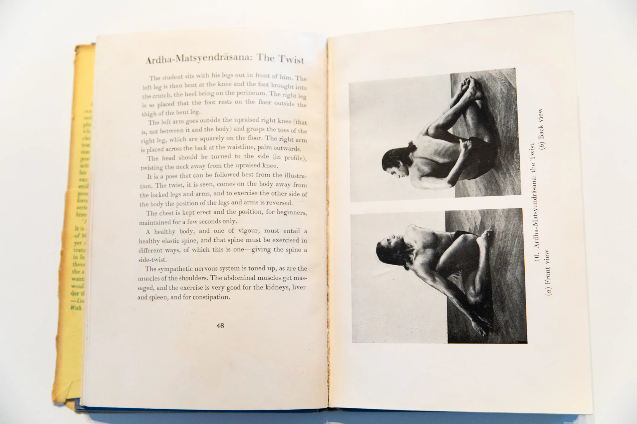 THE YOGA SYSTEM OF HEALTH - Image 6