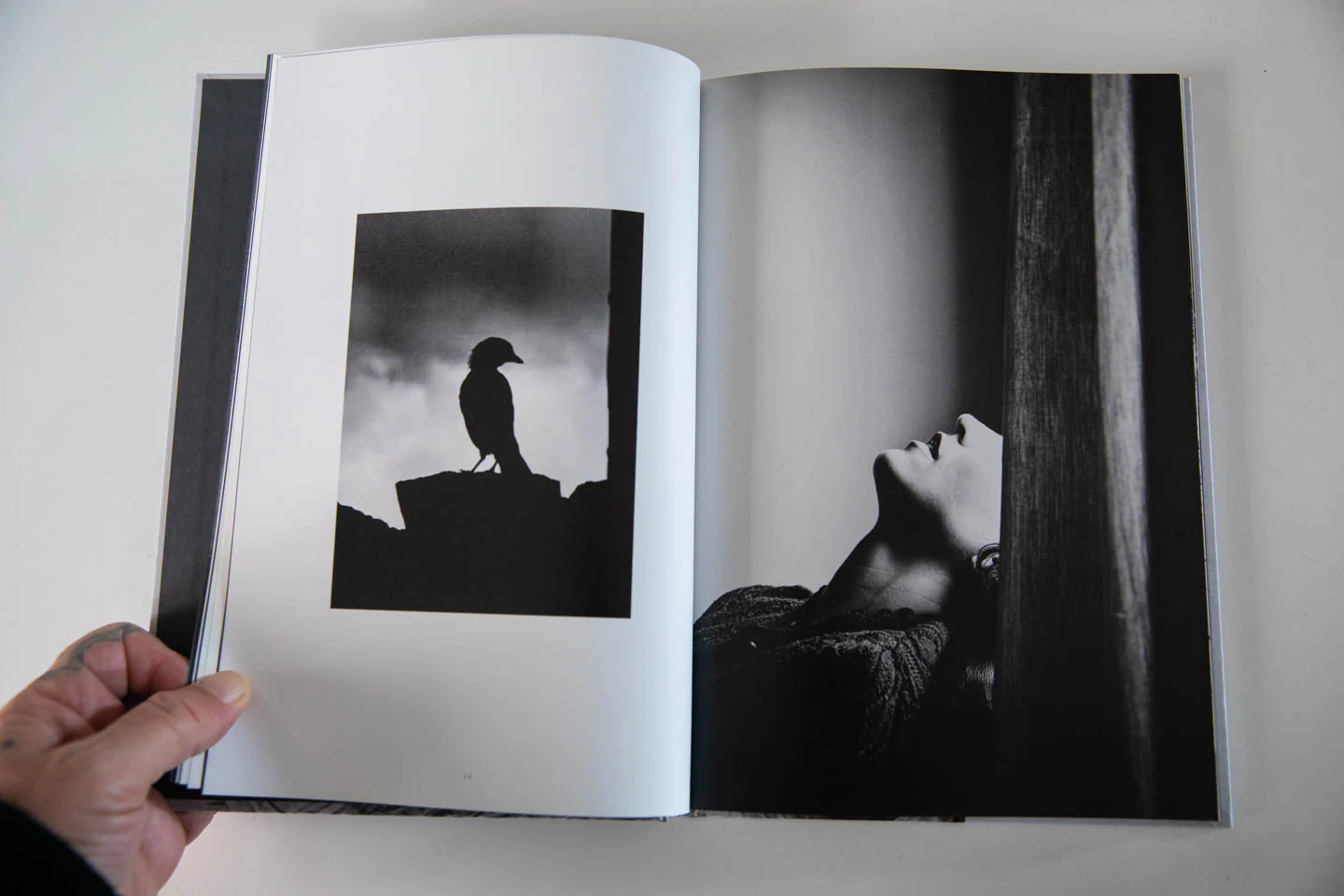 TRANSFIGURATION - Image 2