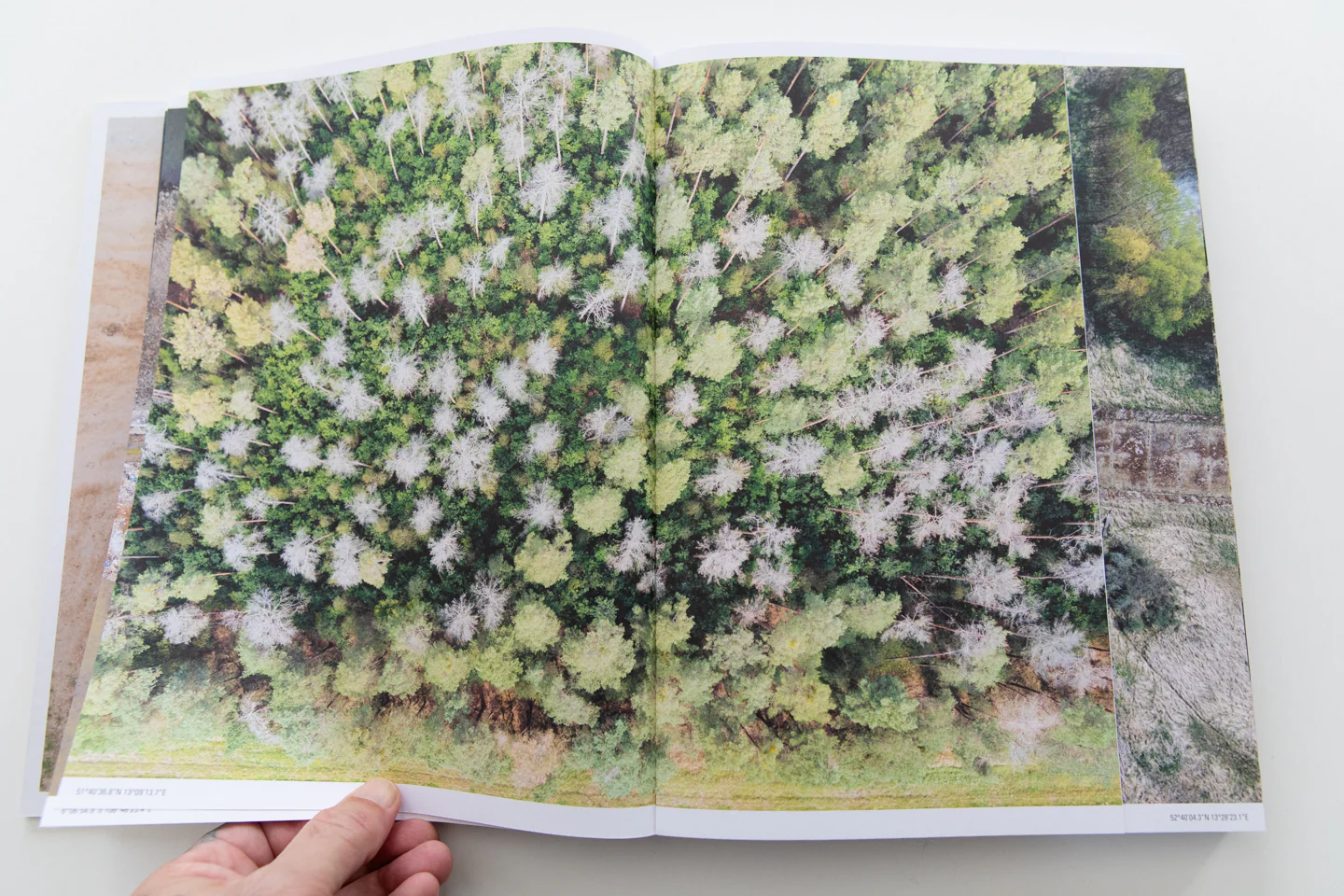 UNCERTAIN HOMELANDS - Image 6