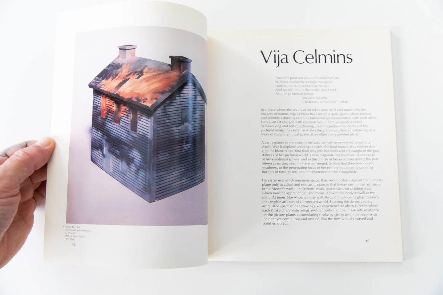 VIJA CELMINS | A Survey Exhibition - Image 2