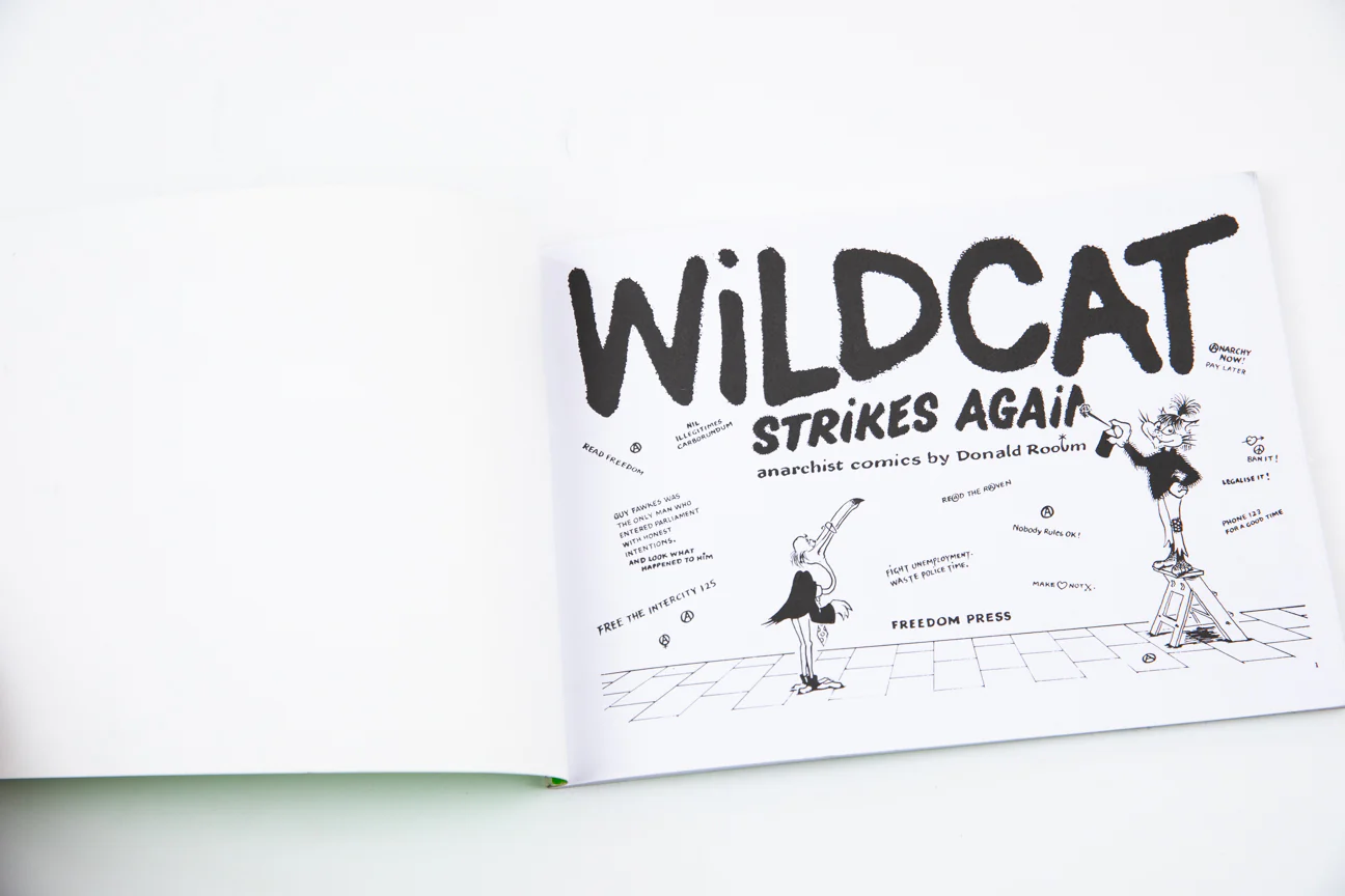WILDCAT STRIKES AGAIN - Image 2