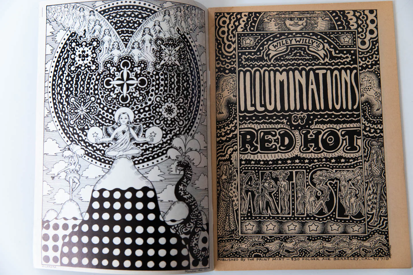 WILEY WILLY'S ILLUMINATIONS - Image 2