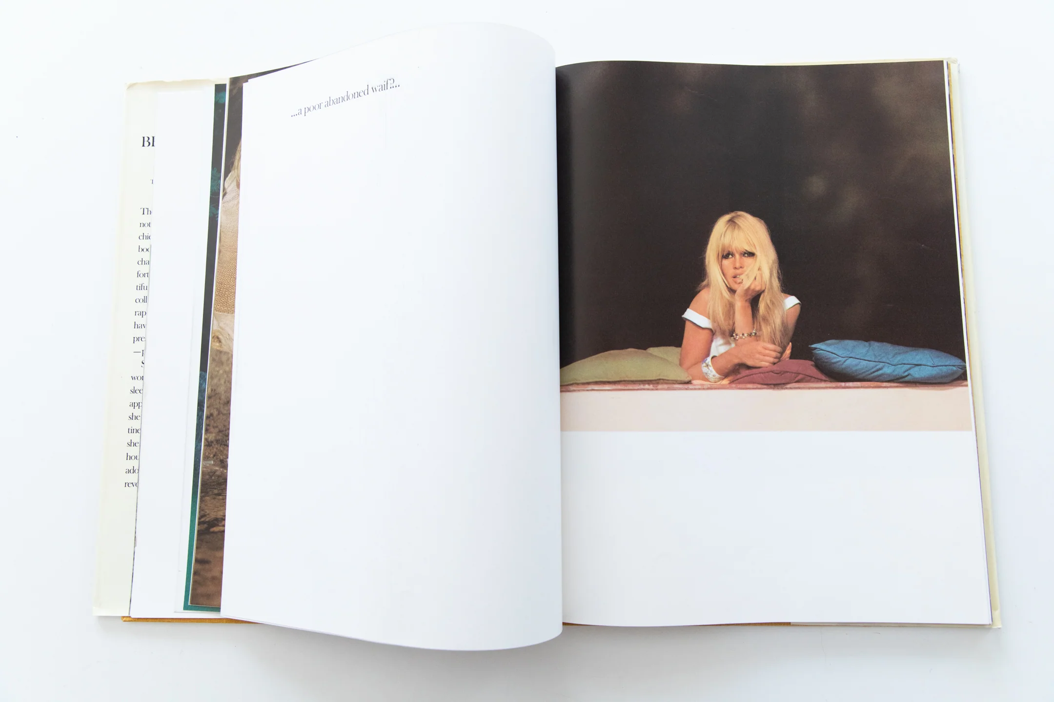 WOMAN FROM THIRTY TO FORTY | Brigitte Bardot - Image 7